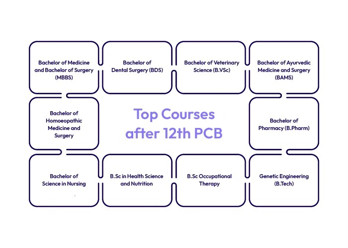 Top 10 Courses After 12th PCB