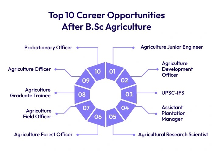 Top 10 Career Opportunities After B.Sc Agriculture