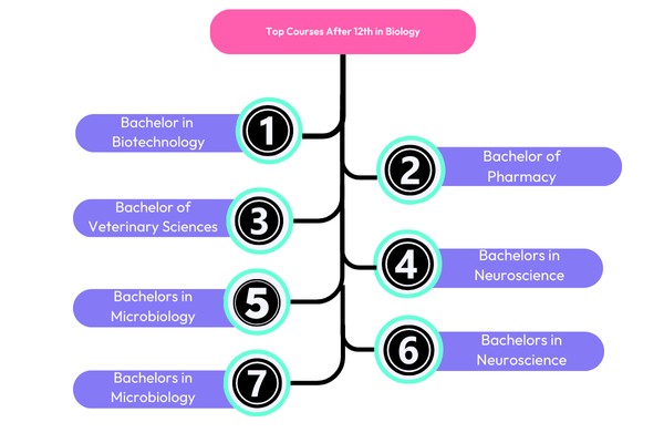 courses-afetr-12th-biology