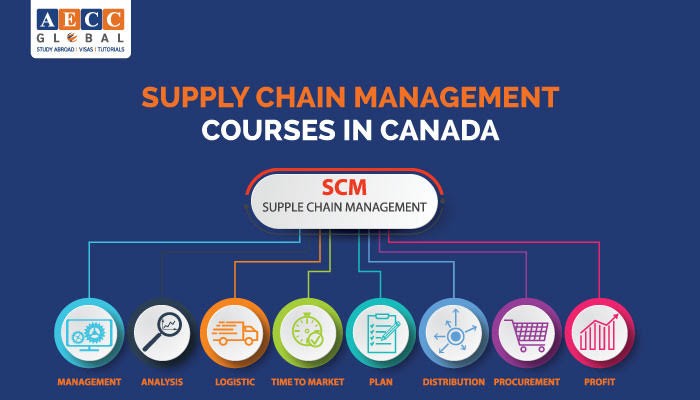 Supply Chain Management Courses In Canada AECC Global